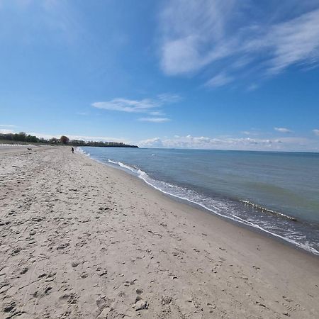 Ferienwohnung Ostseestern Rerik Mit Sauna Dış mekan fotoğraf