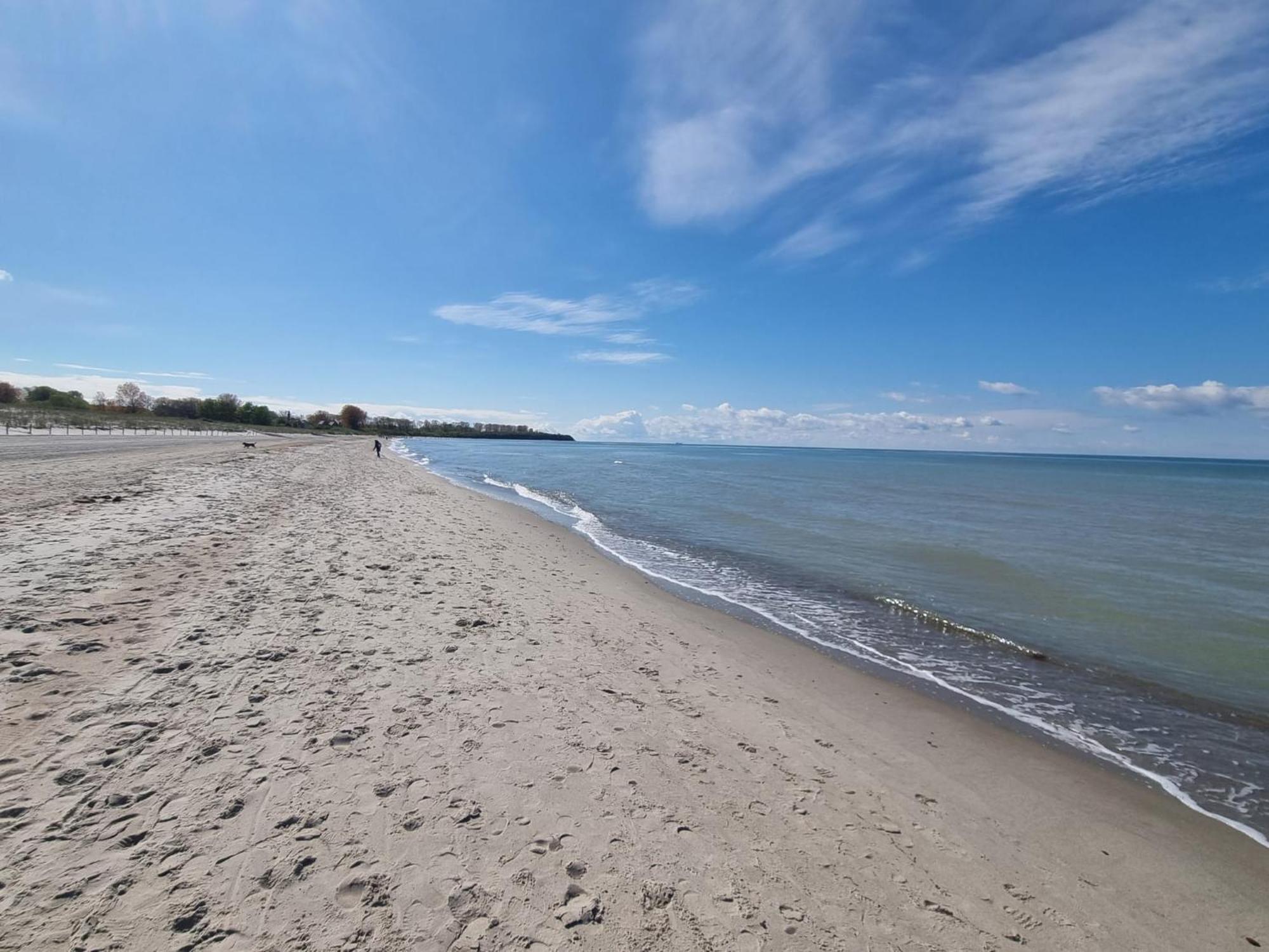 Ferienwohnung Ostseestern Rerik Mit Sauna Dış mekan fotoğraf